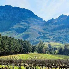 The Three Boutique Hotel Additional Services Winelands Tour